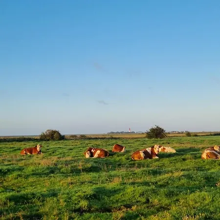 Apartament Inselstern Pellworm