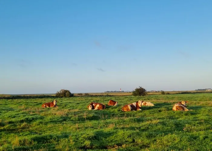 Lägenhet Inselstern Pellworm