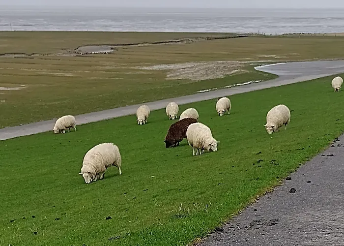 Inselstern Lägenhet *