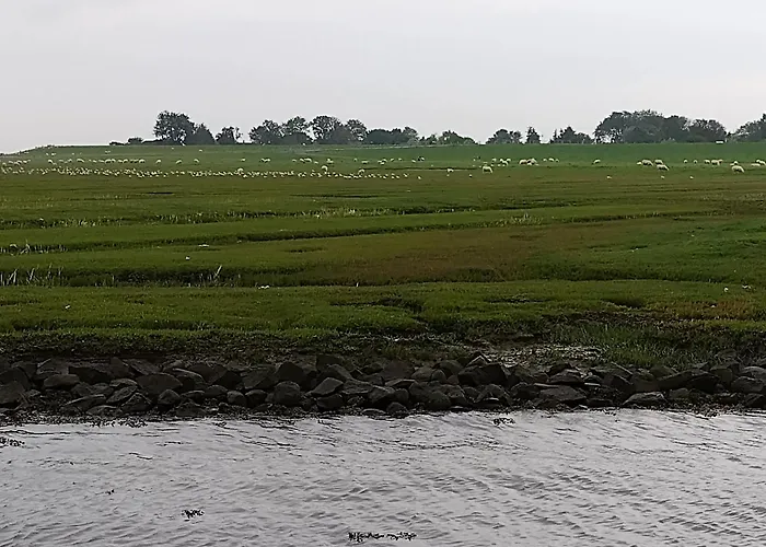 Inselstern Lägenhet